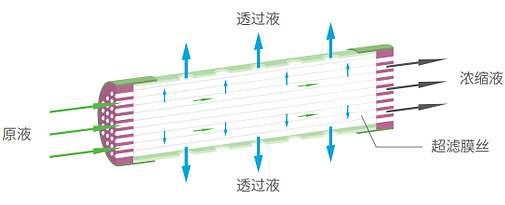 南宫NG28相信品牌的力量网址(中国游)官网